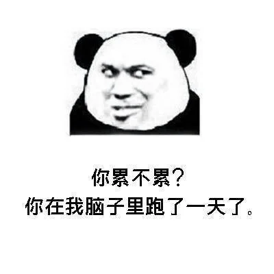 你累不累?你在我脑子里跑了一天了。