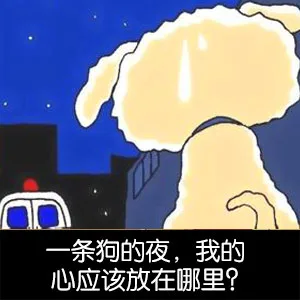 一条狗的夜，我的心应该放在哪里？