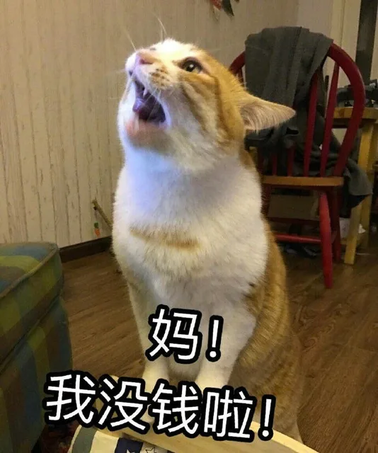 妈！我没钱啦！