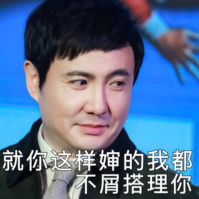 就你这样婶的我都不屑搭理你