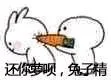 还你萝北，你个兔子精