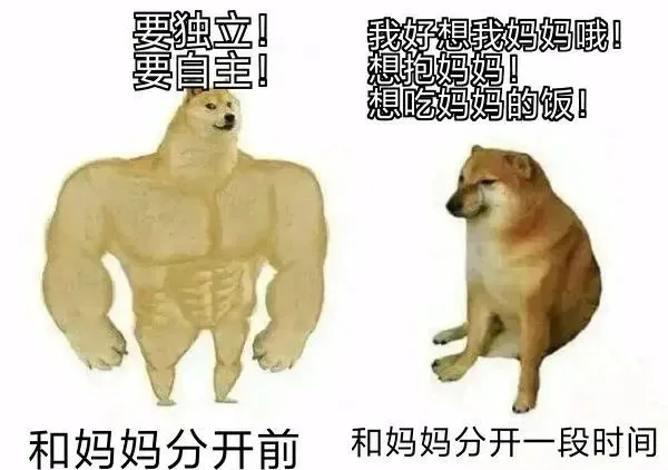 独立我好想我妈妈哦!要自主!想抱妈妈!想吃妈妈的饭!和妈妈分开前和妈妈分开一段时间