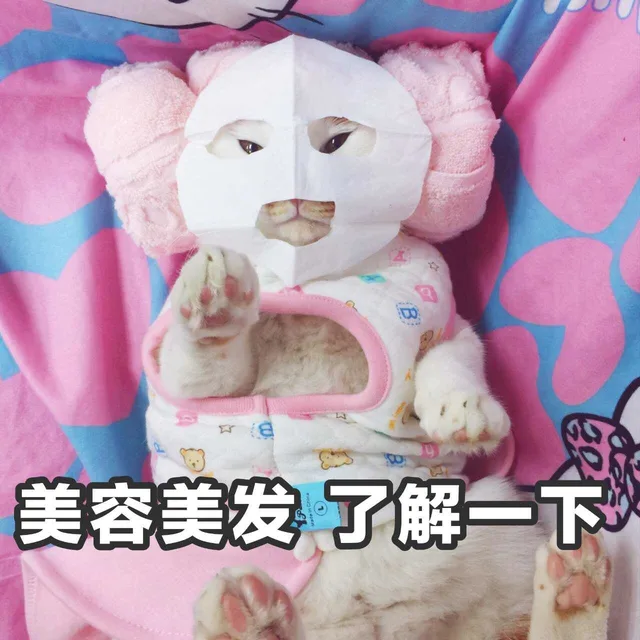 美容美发了解一下