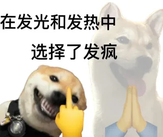 在发光和发热中选择了发疯表情包