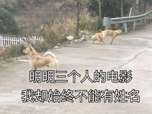 明明三个人的电影我却始终不能有姓名