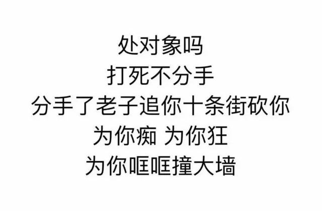 处对象吗，打死不分手，分手了老子追你十条街砍你，为你痴，为你狂，为你哐哐撞大墙