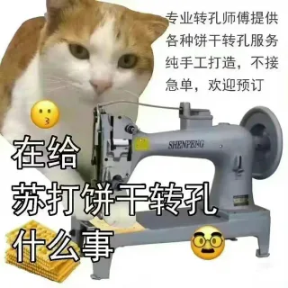 专业转孔师傅提供各种饼干转孔服务纯手工打造,不接急单,欢迎预订在给SHENPENG 苏打饼转孔什么事