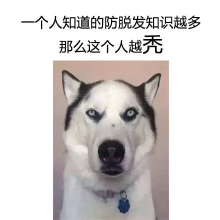 一个人知道的防脱发知识越多，那么这个人越秃（一个人知道的防脱发知识越多，那么这个人越秃）
