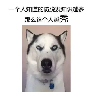 一个人知道的防脱发知识越多，那么这个人越秃