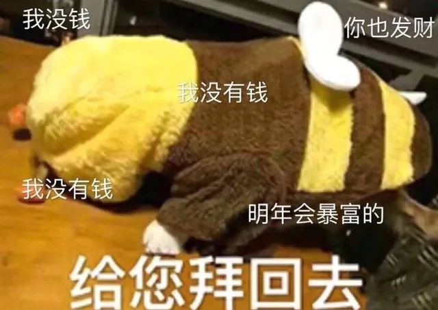 给您拜回去