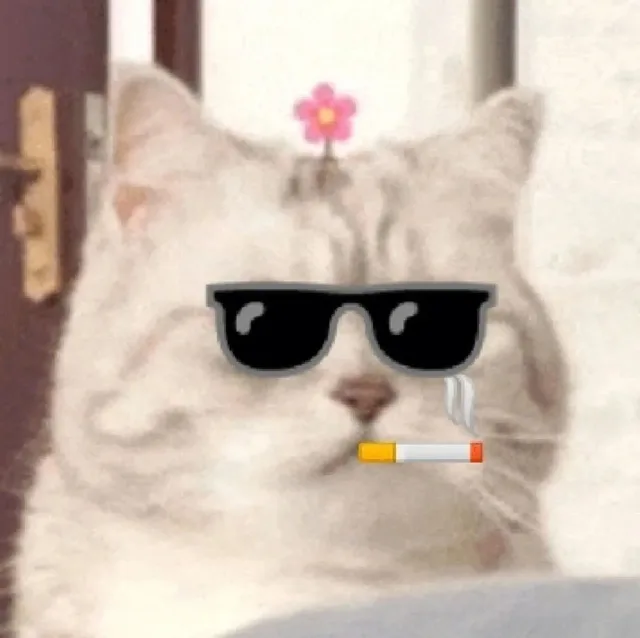 微笑小猫表情包 戴墨镜