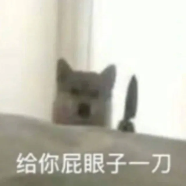 狗狗表情包 | 给你p眼子来一刀