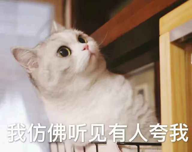 我仿佛听见有人夸我（我仿佛听见有人夸我）