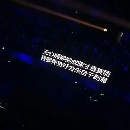 无心插柳柳成荫才是美丽有哪种美好会来自于刻意