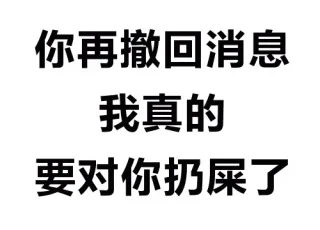 你再撤回消息 我真的要对你扔屎了