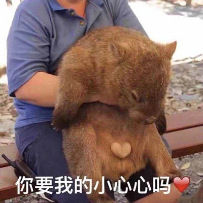 你要我的小心心吗（你要我的小心心吗）