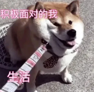 积极面对的我生活