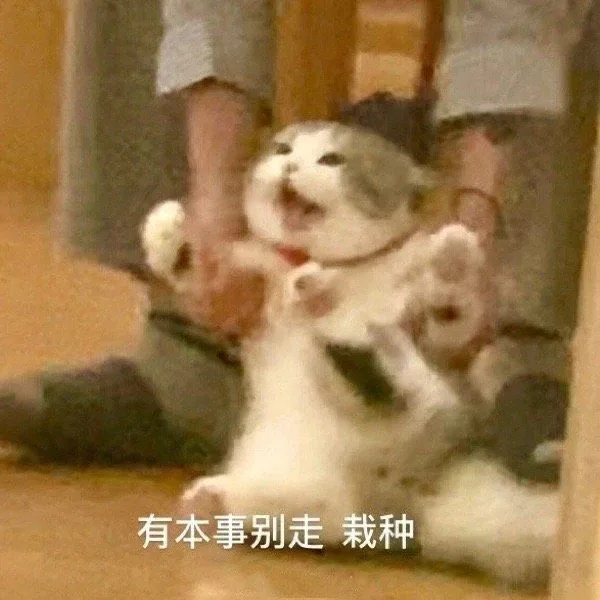 有本事别走栽种（有本事别走栽种）