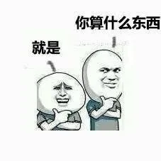 你算什么东西，就是