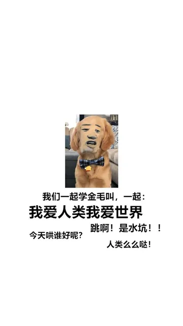 我们一起学金毛叫,一起:我爱人类我爱世界跳啊!是水坑!今天哄谁好呢?人类么么哒!（我们一起学金毛叫,一起:我爱人类我爱世界跳啊!是水坑!今天哄谁好呢?人类么么哒!）