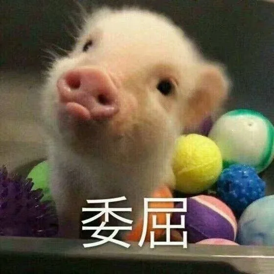 委屈（猪猪）