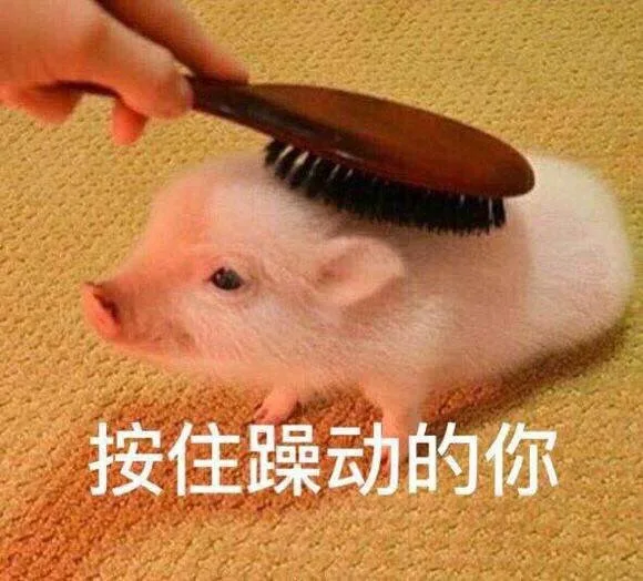 按住躁动的你（按住躁动的你）