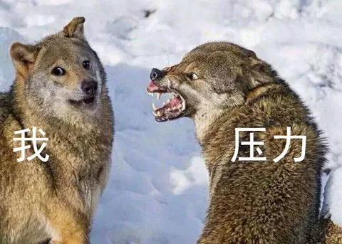 生活压力把我安排得明明白白