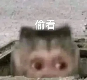 偷看(吗喽表情包)（偷看(吗喽表情包)）