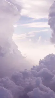 今日份壁纸精选表情包