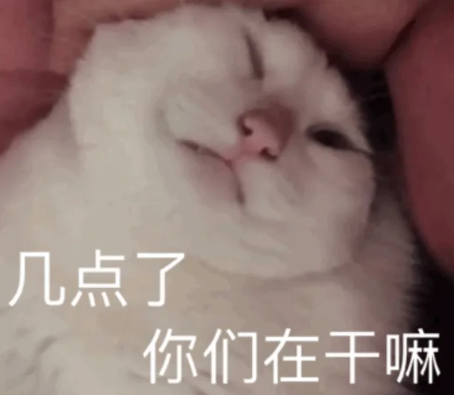 几点了 你们在干嘛（几点了 你们在干嘛）