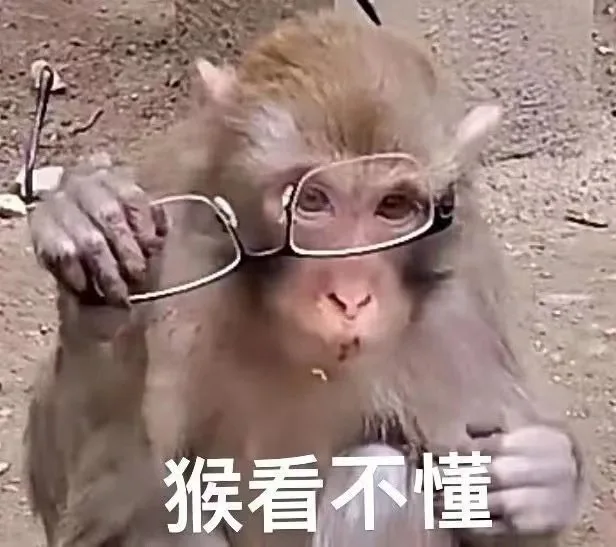 猴看不懂（猴看不懂）