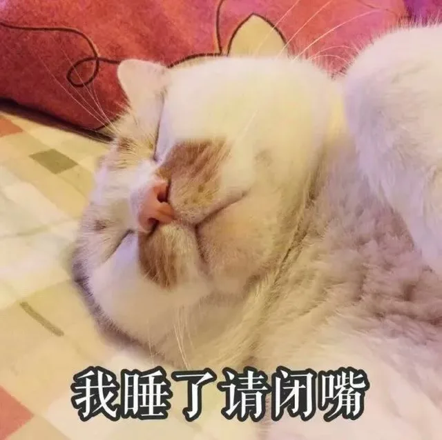 我睡了请闭嘴（猫咪表情包）