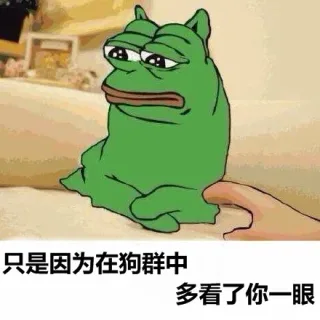 只是因为在狗群中，多看了你一眼