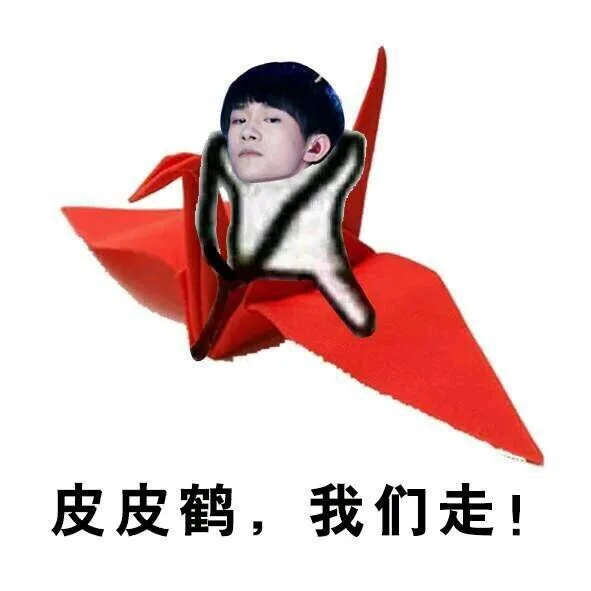 皮皮鹤，我们走！