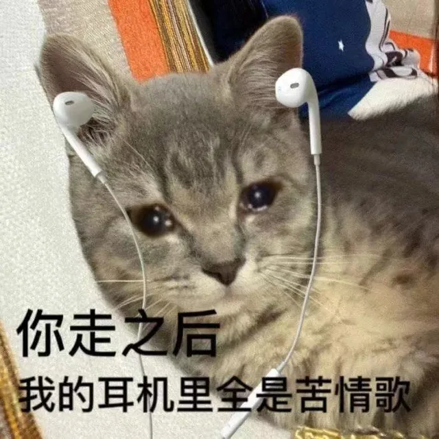 你走之后我的耳机里全是苦情歌（你走之后我的耳机里全是苦情歌）