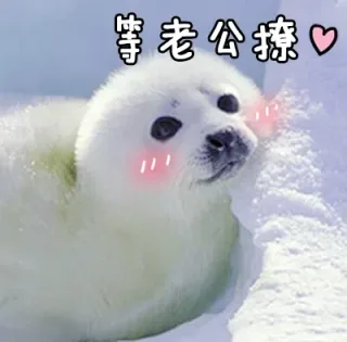 撒一波狗粮，撩老公表情包_老公_萌萌哒_撩妹撩汉表情包