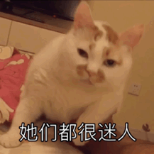 她们都很迷人，我不一样，我很磨人（她们都很迷人，我不一样，我很磨人）