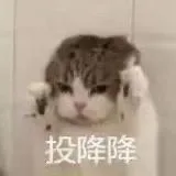 投降降（投降降）