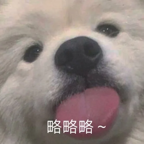 略略略~（汪星人表情包）（略略略~（汪星人表情包））