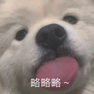略略略~（汪星人表情包）