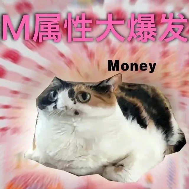 M属性大爆发Money（M属性大爆发Money）