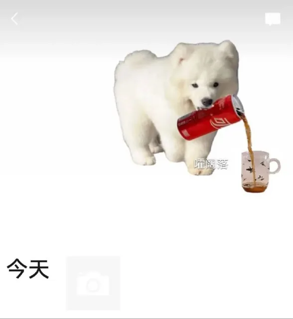 小狗倒饮料朋友圈背景图（小狗倒饮料朋友圈背景图）