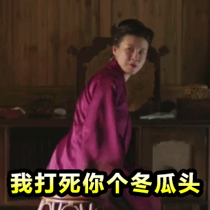我打死你个冬瓜头