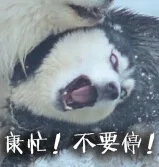 康忙！不要停！（康忙！不要停！）