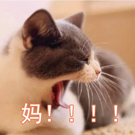 妈！！！