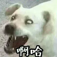 啊哈（汪星人）