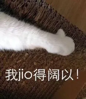 我jo得阔以!