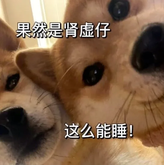果然是肾虚仔这么能睡！（果然是肾虚仔这么能睡！）