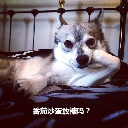 番茄炒蛋放糖吗？（番茄炒蛋放糖吗？）
