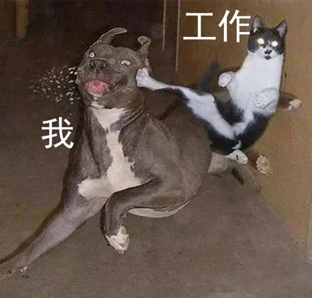 生活，把我安排得明明白白_内涵